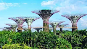 Gardens by the Bay